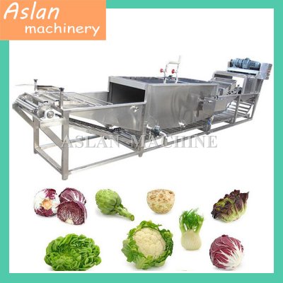 Popular Vegetable Steam Blanching Machine