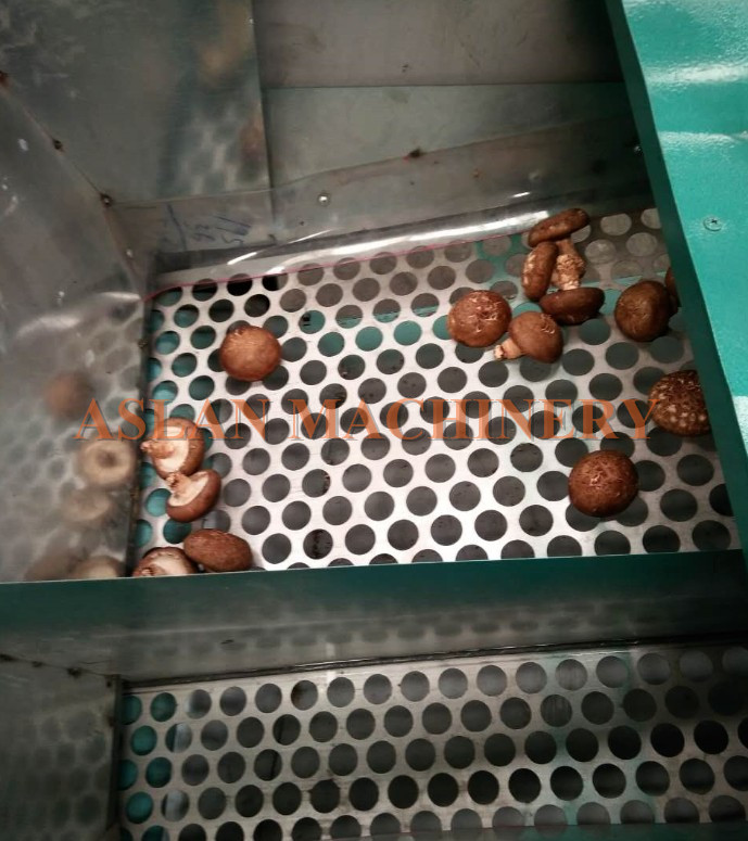 mushroom stem cutting machine 